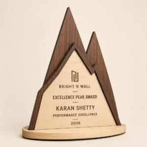 Excellence Peak Award front hero view