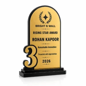 Bright N Wall No. 3 Rising Star Award trophy brushed gold front hero view