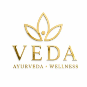 VEDA gold mirror acrylic wellness studio wall logo on a clean white background