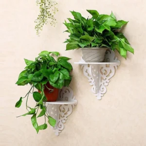 Wall Shelves